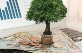 Сколько нужно денег для старта интернет-магазина?! Сколько нужно денег для старта интернет-магазина