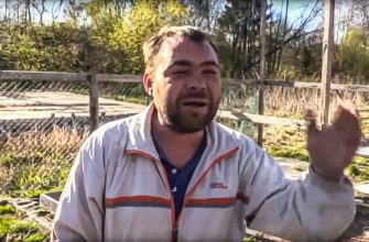 Как выжить бизнесу во время санкций Бизнес, санкции, кризис